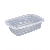 PP clamshell packing kiwi fruit packaging tray